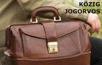Közig jogorvos